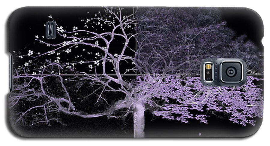 Tree Galaxy S5 Case featuring the painting Seasons of Change by Gray Artus