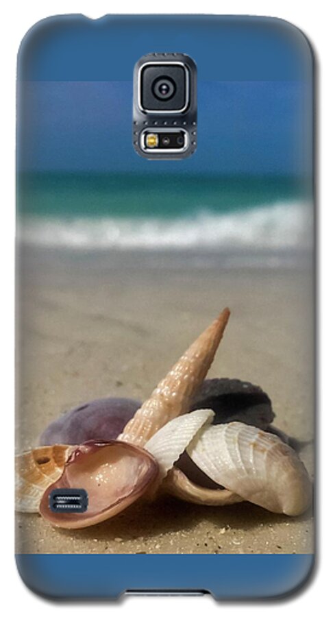 Seashell Galaxy S5 Case featuring the photograph See Shells by Terri Hart-Ellis