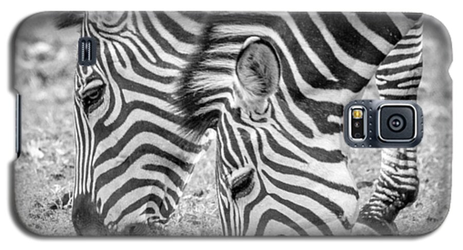 2015 Galaxy S5 Case featuring the photograph Seeing Double by Wade Brooks