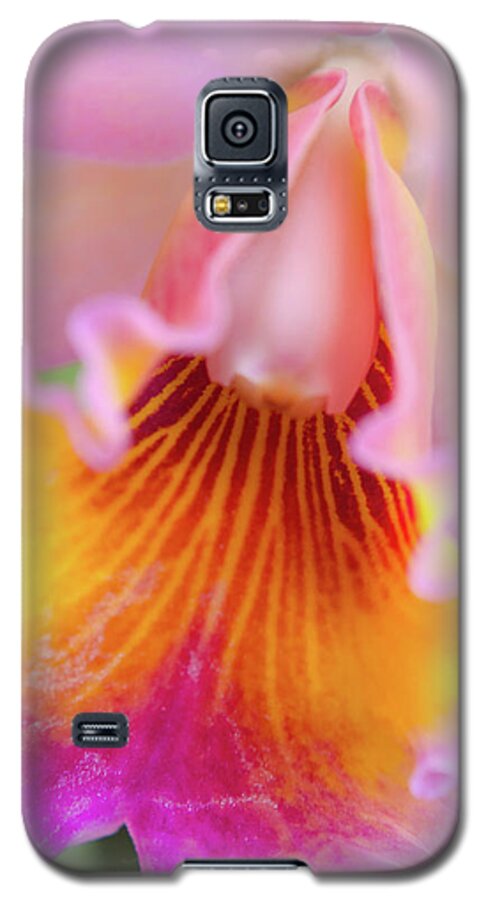 Cleveland Botanical Gardens Galaxy S5 Case featuring the photograph Sensual Floral by Stewart Helberg