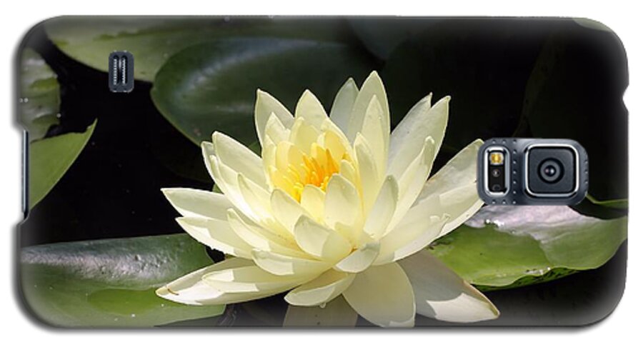 Water Lily Galaxy S5 Case featuring the photograph Serenity by Katherine White