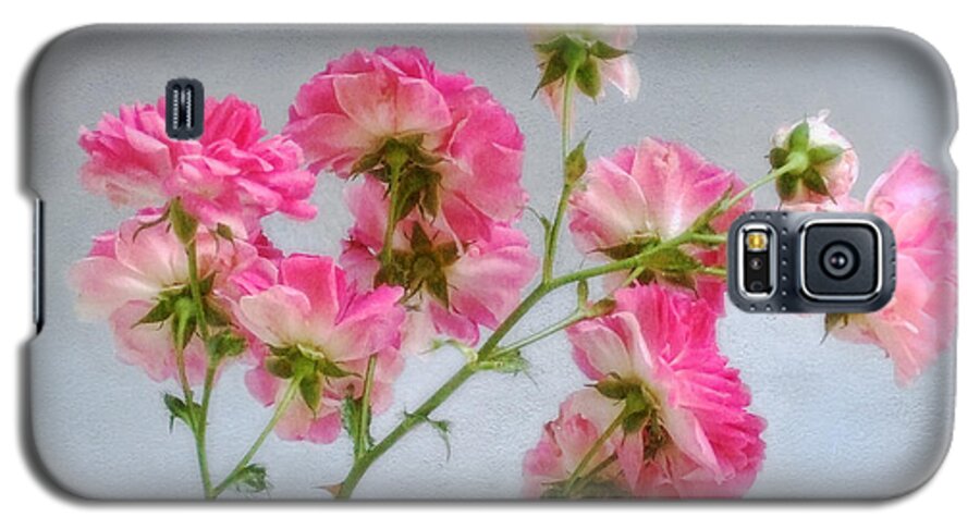 Roses Galaxy S5 Case featuring the photograph Seven Sisters Roses by Louise Kumpf