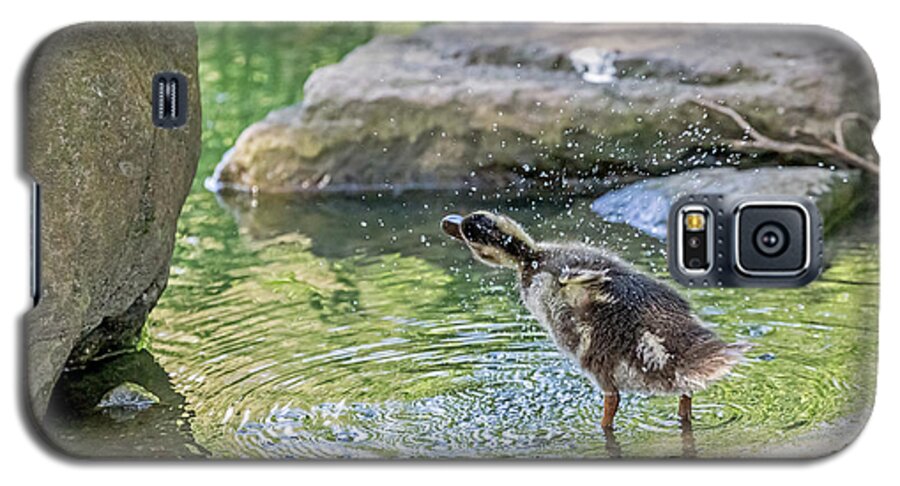 Mallard Galaxy S5 Case featuring the photograph Shake It Off by Kate Brown