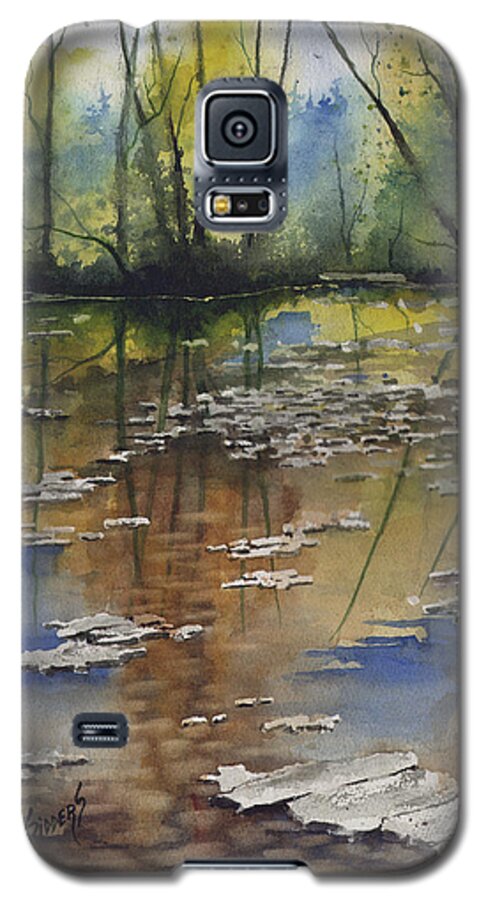 Stream Galaxy S5 Case featuring the painting Shallow Water by Sam Sidders
