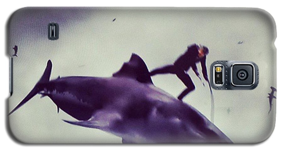 Sharks Galaxy S5 Case featuring the photograph #sharknado #sharknado2 #bmovie #movie by Abdurrahman Ozlem