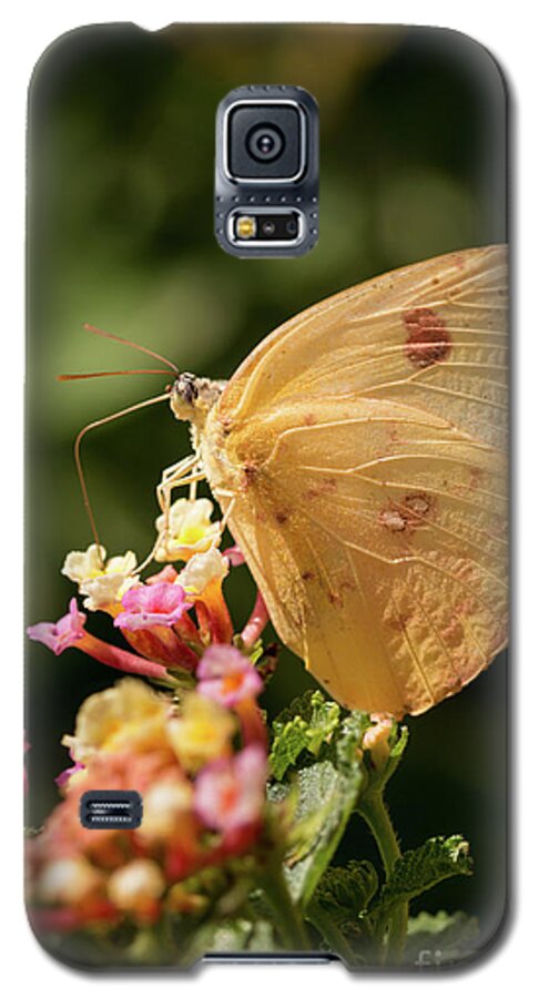 Butterfly Galaxy S5 Case featuring the photograph She Wears Her Heart on Her Wing by Ana V Ramirez