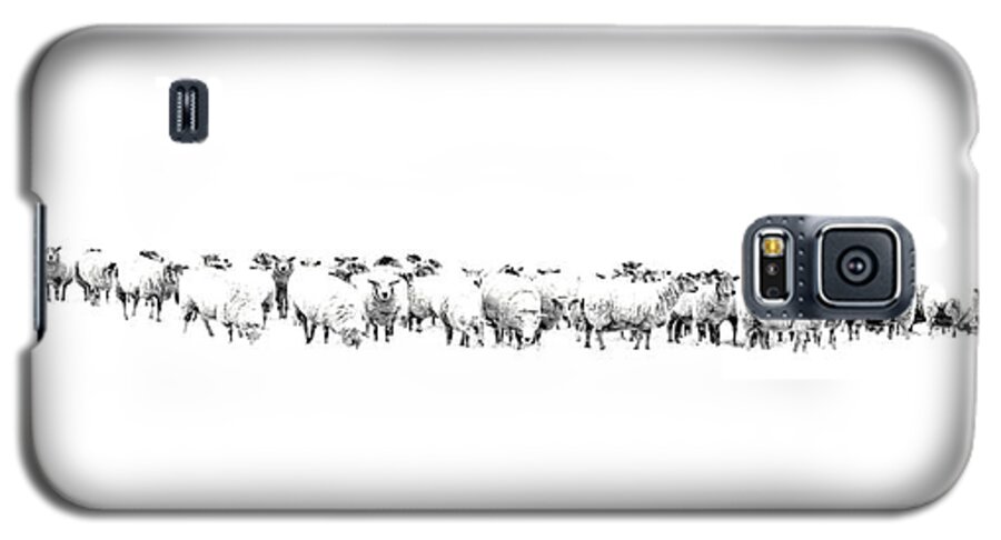 Sheep Galaxy S5 Case featuring the photograph Sheeple by Andrea Kollo