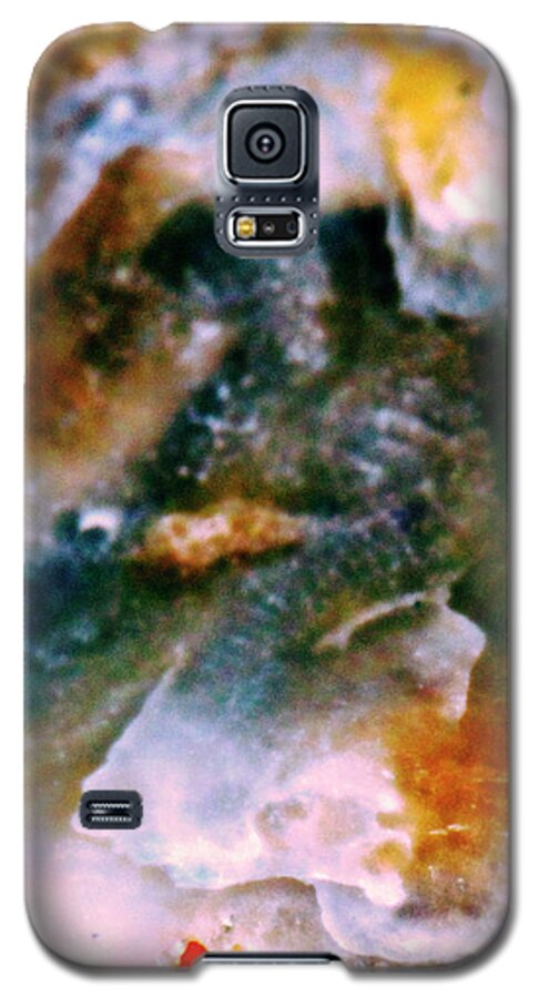 Shell Galaxy S5 Case featuring the photograph Shell Treasure Story by Gina O'Brien