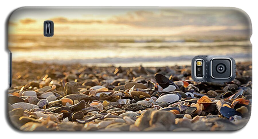 Shells Galaxy S5 Case featuring the photograph Shells at Sunset by April Reppucci