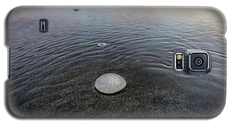 California Galaxy S5 Case featuring the photograph Shells on the Shore by Margaret Pitcher