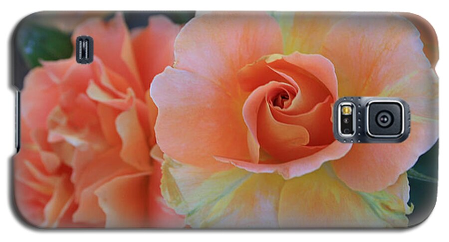 Sherbert Galaxy S5 Case featuring the photograph Sherbert Rose by Marna Edwards Flavell