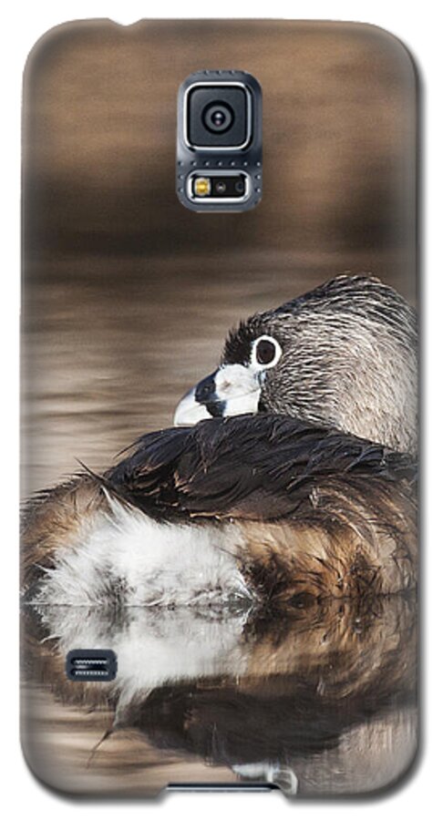 Grebe Galaxy S5 Case featuring the photograph Shy Grebe by Ruth Jolly