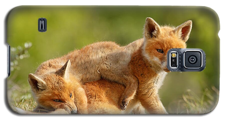 Red Fox Galaxy S5 Case featuring the photograph Sibbling Love - Playing Fox Cubs by Roeselien Raimond