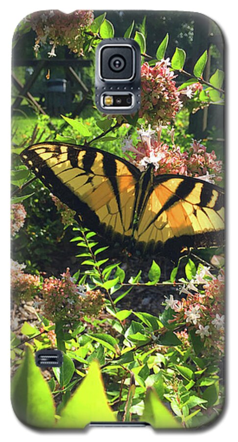 Butterfly Galaxy S5 Case featuring the photograph Silence of Nature by Matthew Seufer