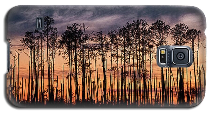Silhouette Galaxy S5 Case featuring the photograph Silhouetted Sunset by Erika Fawcett