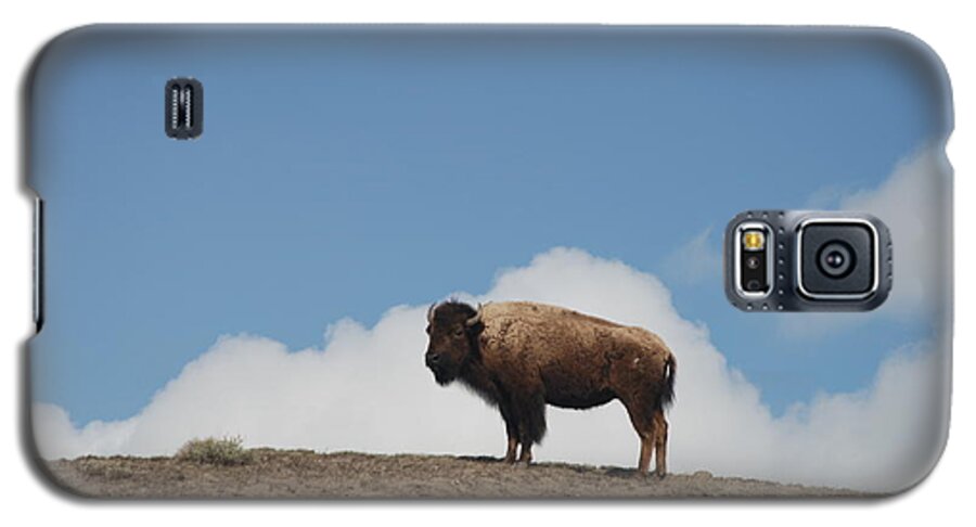 Bison Galaxy S5 Case featuring the photograph Silhuette by Jim Goodman