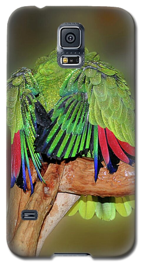 Parrot Galaxy S5 Case featuring the photograph Silly Amazon Parrot by Smilin Eyes Treasures