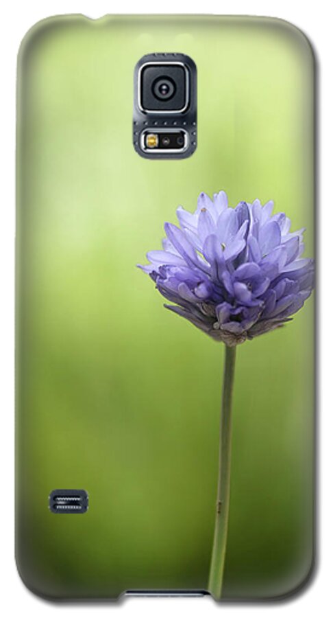 Blue Flower Galaxy S5 Case featuring the photograph Simply Blue by Tom Potter