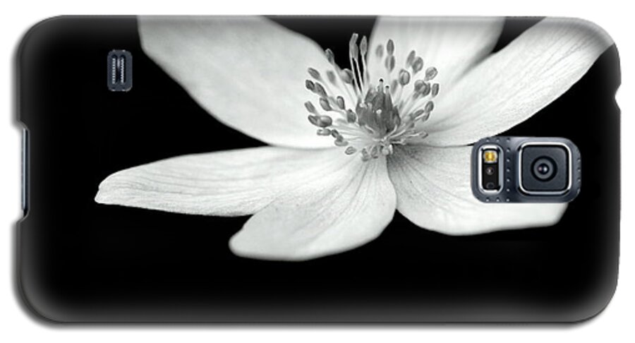 Monochrome Flower Petals Stamens On-black On-dark Galaxy S5 Case featuring the photograph Six petals in monochrome by Ian Sanders