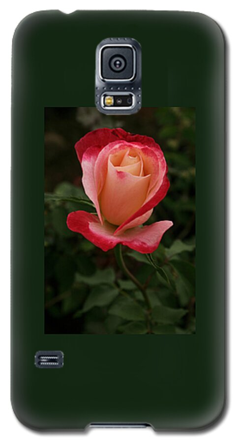Fresh Galaxy S5 Case featuring the photograph SKC 0435 Nature's Color Shading by Sunil Kapadia