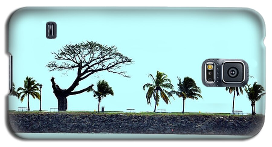 Panama Galaxy S5 Case featuring the photograph Skyline on Blue by Richard Ortolano
