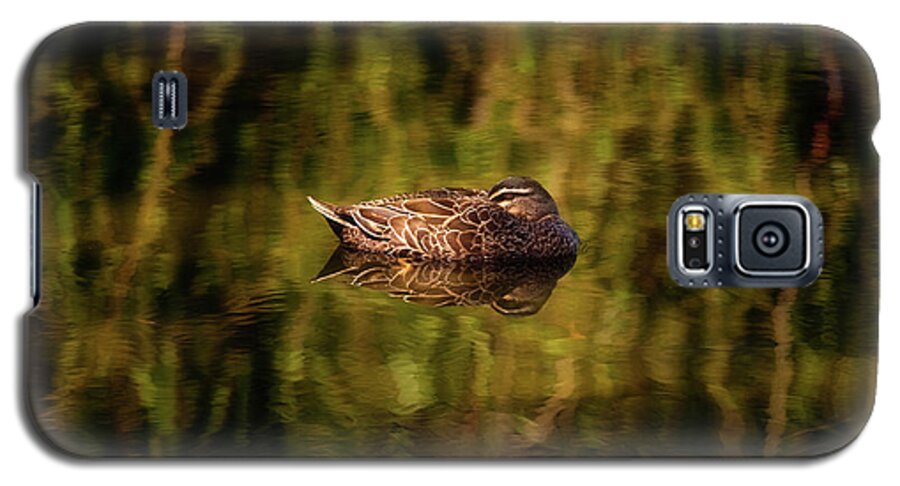 Mad About Wa Galaxy S5 Case featuring the photograph Sleepy Duck, Yanchep National Park by Dave Catley