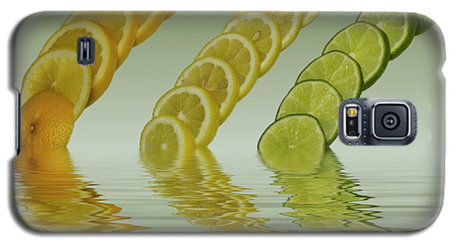 Fresh Fruit Galaxy S5 Case featuring the photograph Slices Grapefruit Lemon Lime Citrus Fruit by David French