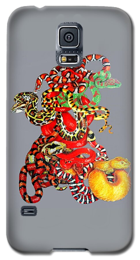 Reptile Galaxy S5 Case featuring the drawing Slither by Barbara Keith