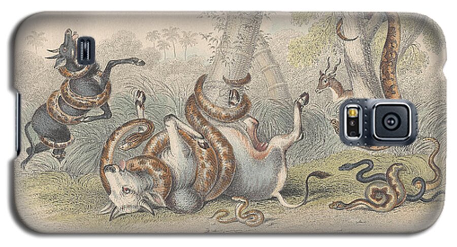 Antique Prints Galaxy S5 Case featuring the drawing Snakes by Dreyer Wildlife Print Collections 