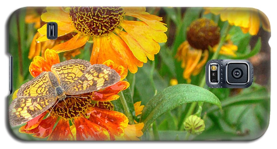 Helenium Galaxy S5 Case featuring the photograph Sneezeweed by Shelley Neff