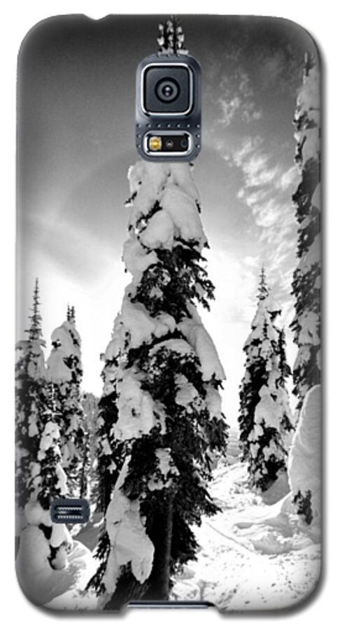 Tree Galaxy S5 Case featuring the photograph Snow Laden Tree by Jedediah Hohf