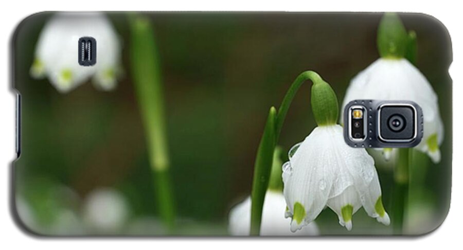 Winterthur Galaxy S5 Case featuring the photograph Snowdrops at Winterthur #111 by Raymond Magnani
