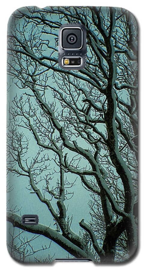 Snow Galaxy S5 Case featuring the photograph Snowy Branches by Richard Brookes