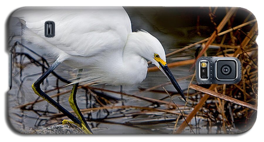 Snowy Egret Egretta Galaxy S5 Case featuring the photograph Snowy Egret Egretta by Ken Barrett