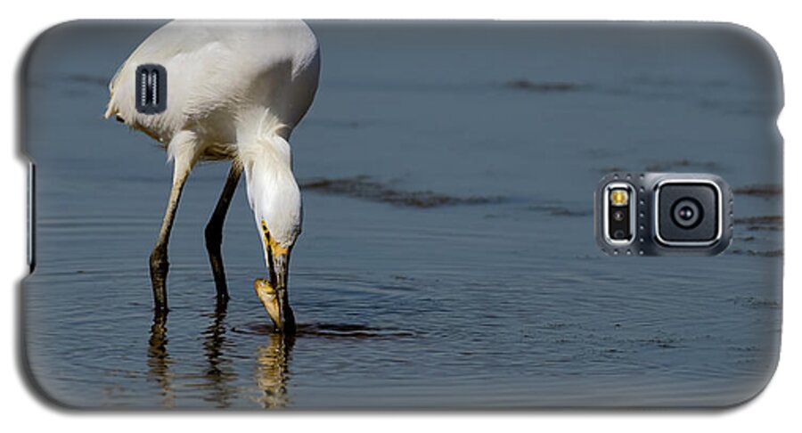 Snowy Egret Galaxy S5 Case featuring the photograph Snowy Egret fishing by Sam Rino