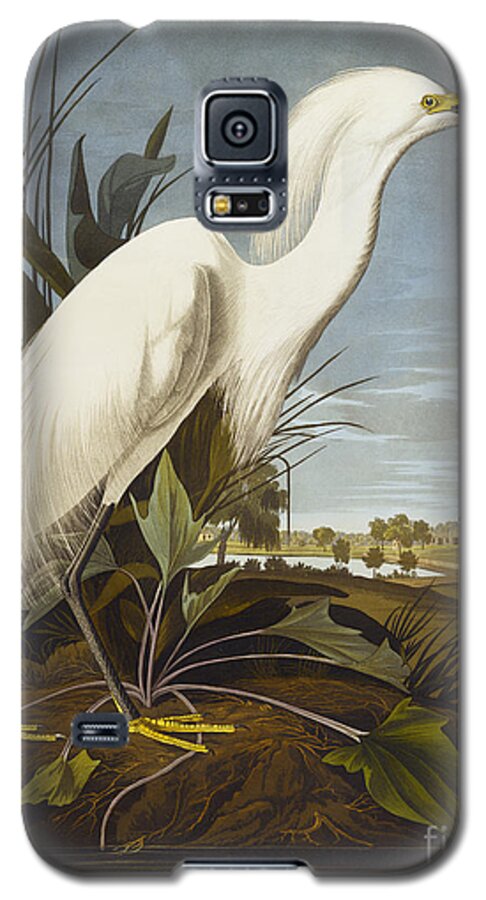 Snowy Heron Or White Egret Galaxy S5 Case featuring the drawing Snowy Heron by John James Audubon