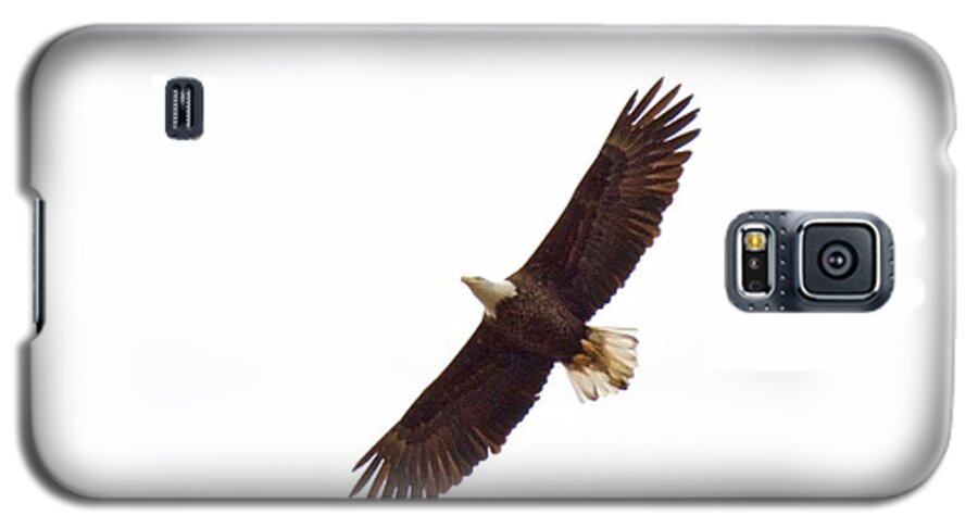 Eagle Galaxy S5 Case featuring the photograph Soaring High 0885 by Michael Peychich