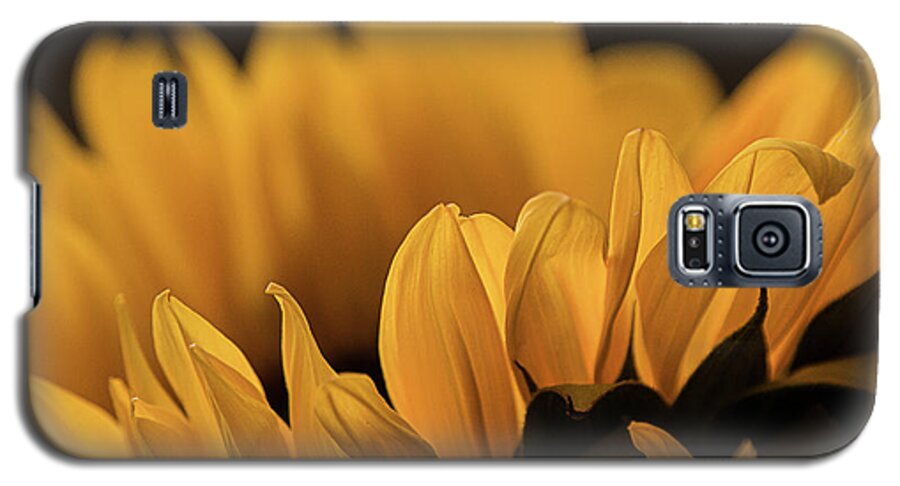 Nature Galaxy S5 Case featuring the photograph Soft Summer Light by Teresa Wilson