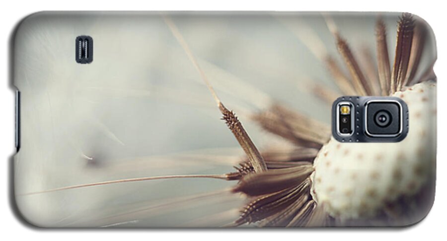 Macro Photography Galaxy S5 Case featuring the photograph Softly Slowly by Amy Tyler