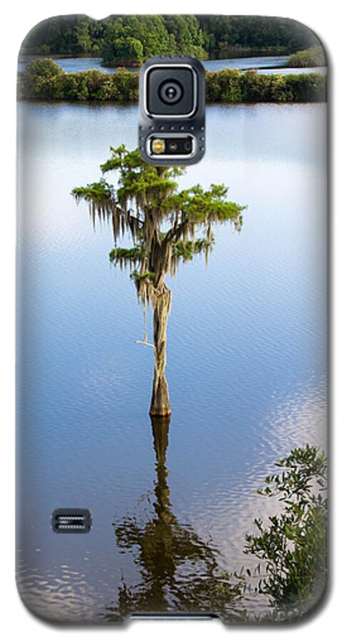Nature Galaxy S5 Case featuring the photograph Solitary #1 by Andrea Anderegg