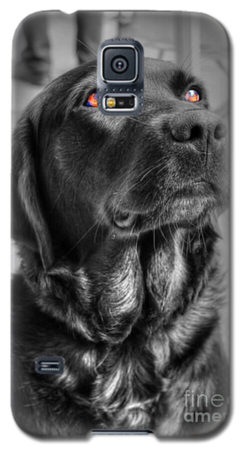 Angel Galaxy S5 Case featuring the photograph Some Angels Have Fur by Vicki Spindler