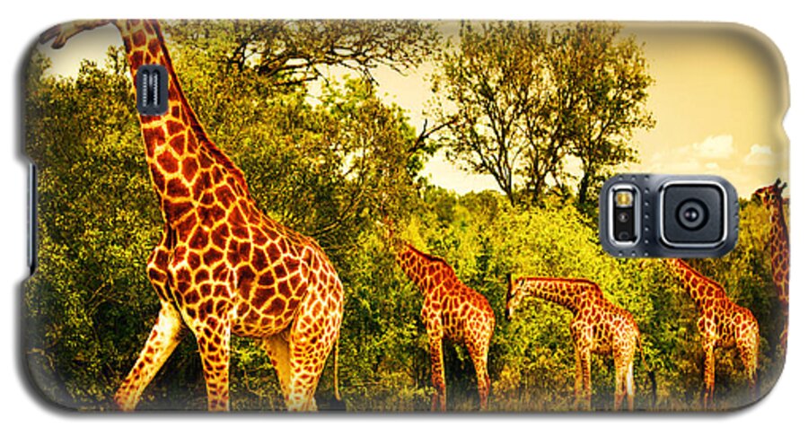 Africa Galaxy S5 Case featuring the photograph South African giraffes by Anna Om