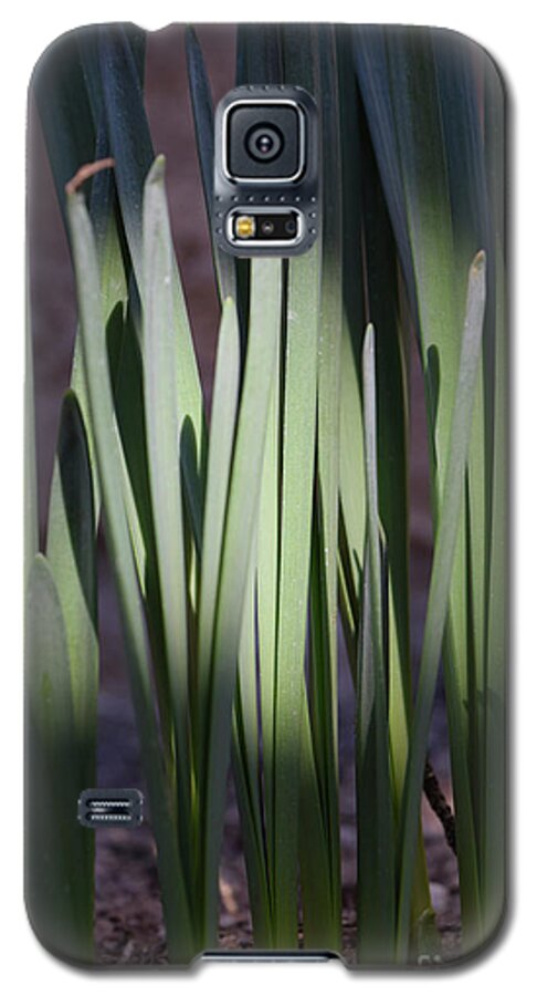 Jmacnairart Galaxy S5 Case featuring the digital art Spring daffodils bulbs in the morning by Jackie MacNair