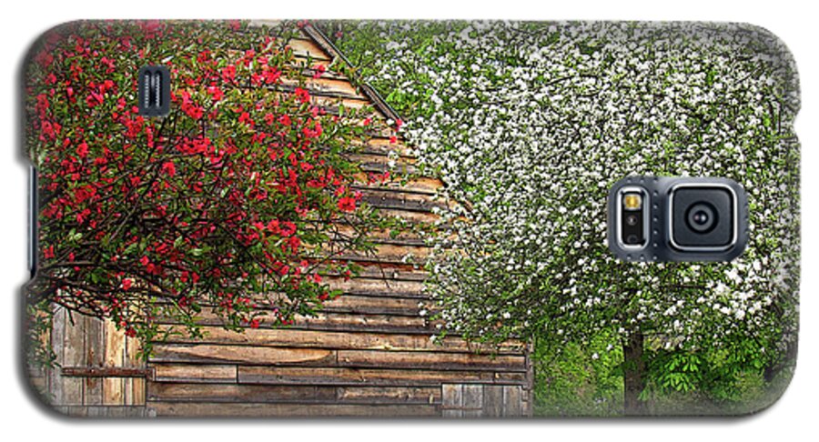 Flowers Galaxy S5 Case featuring the photograph Spring Flowers and the Barn by Nancy De Flon