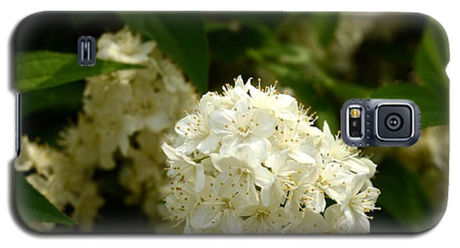 Flower Galaxy S5 Case featuring the photograph Spring Focus by Joseph Desiderio
