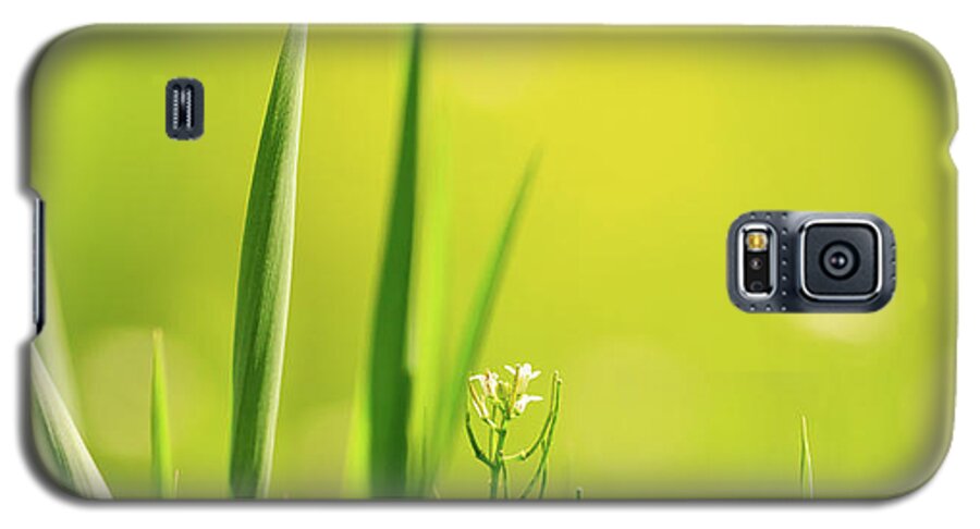 Illinois Galaxy S5 Case featuring the photograph Spring Green by Joni Eskridge