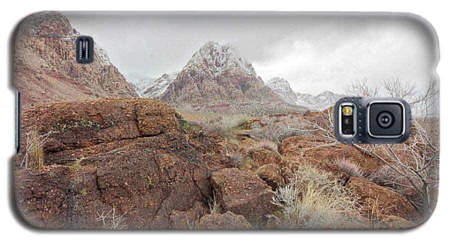 Spring Mountain Ranch Galaxy S5 Case featuring the photograph Spring Mountain Ranch by Balanced Art