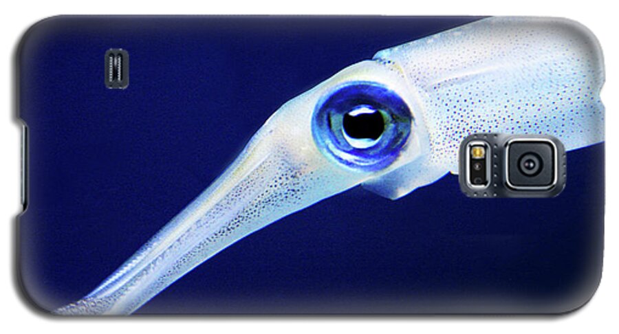 Squid Galaxy S5 Case featuring the photograph Squid by Anthony Jones