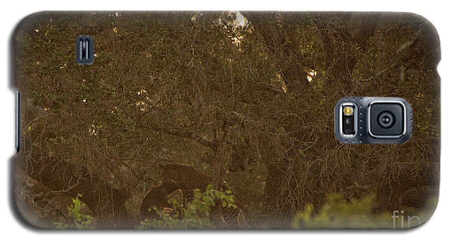 Yala National Park Galaxy S5 Case featuring the photograph Sri Lankan Leopard and Wild Boar by Venura Herath
