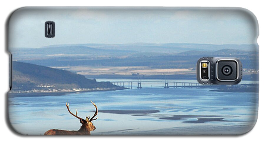 Red Deer Stag Galaxy S5 Case featuring the photograph Stag Overlooking the Beauly Firth and Inverness by Gavin Macrae